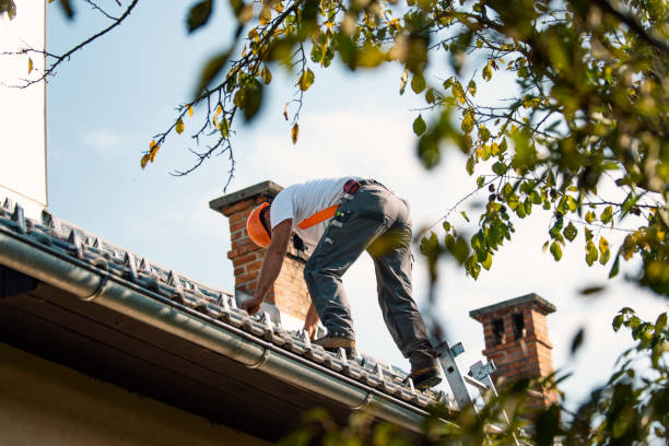 Best Gutter Installation and Repair  in Laurel, FL
