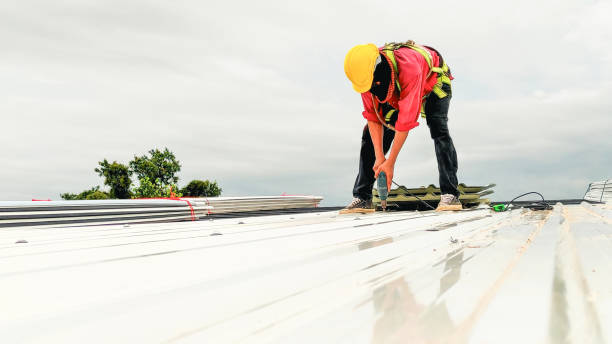 Best Chimney Flashing Repair  in Laurel, FL