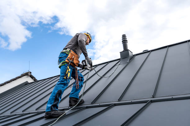 Best Roof Maintenance and Cleaning  in Laurel, FL